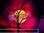 Avatare,poze3 mishto...and more - Cezz13Deny - .::.My FoRuM.::.