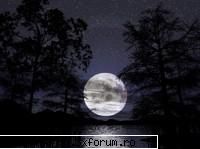 Avatare,poze3 mishto...and more - Cezz13Deny - .::.My FoRuM.::.