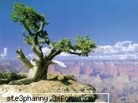 Avatare,poze3 mishto...and more - Cezz13Deny - .::.My FoRuM.::.