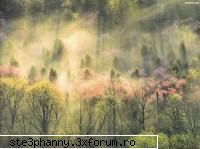Avatare,poze3 mishto...and more - Cezz13Deny - .::.My FoRuM.::.