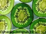 Fructe si mixatii de fructe - Jumatati de kiwi - .::.My FoRuM.::.
