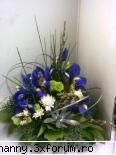 Poze cu flori...:D - aranjament floral din cale albastre - .::.My FoRuM.::.