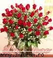 Poze cu flori...:D - st3phanny - .::.My FoRuM.::.