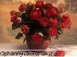 Poze cu flori...:D - Frumusete nepieritoare - .::.My FoRuM.::.