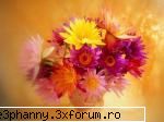 Poze cu flori...:D - Daya_Kaulitz_Toma - .::.My FoRuM.::.